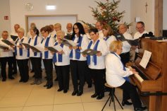singgruppe